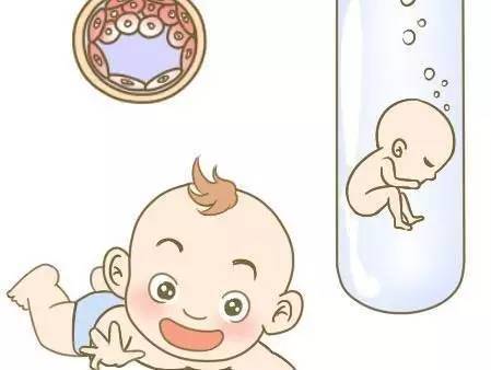 试管供卵公司